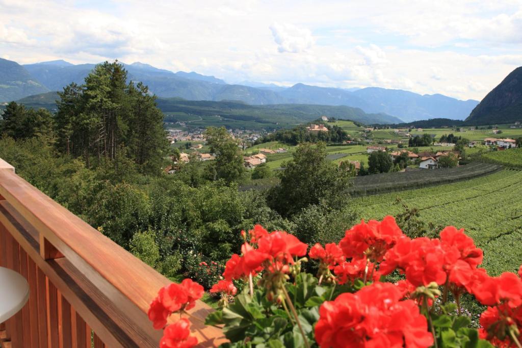 Kreuzstein Bed&Breakfast Appiano Sulla Strada Del Vino Rom bilde